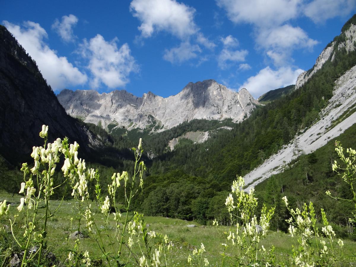 Hotel Garni Haus Anita Liesing Bagian luar foto