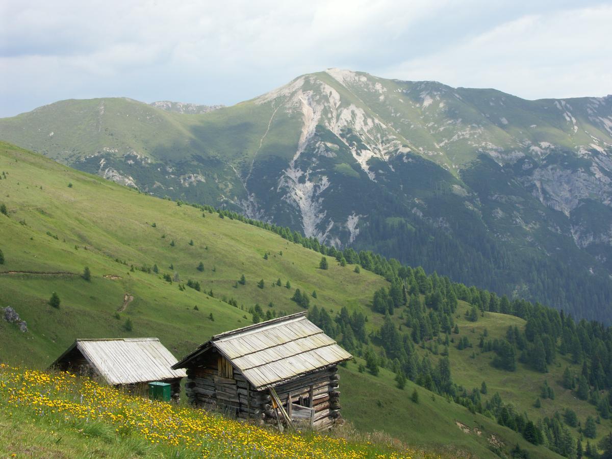 Hotel Garni Haus Anita Liesing Bagian luar foto